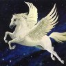 The Pegasus